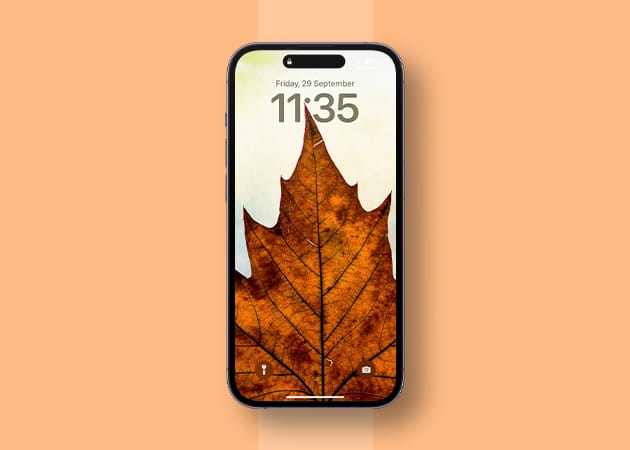 543468084 9 The fallen leaf depth effect iPhone wallpaper