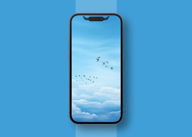 Birds flying dynamic island wallpaper for iphone Birds Flying Dynamic Island Wallpaper for iPhone