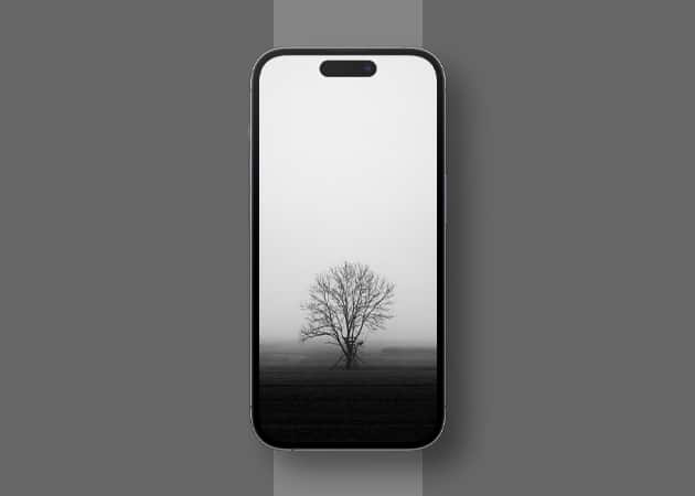 Black and white tree wallpaper 1 Black and white tree wallpaper