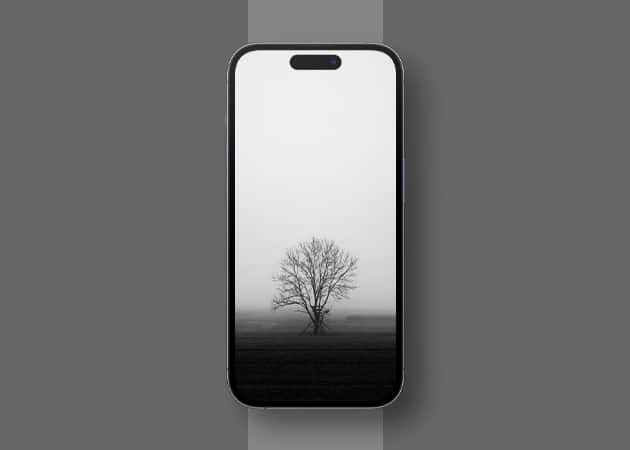 Black and white tree wallpaper