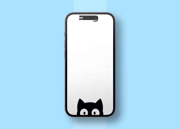 Cute cat dynamic island wallpaper for iphone Cute cat Dynamic Island wallpaper for iPhone