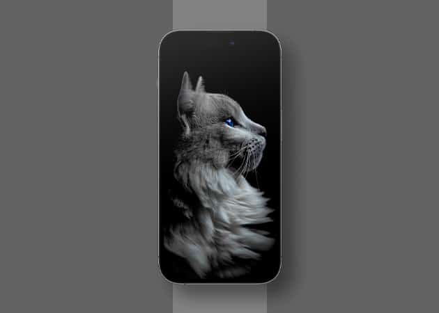Elegant cat wallpaper in black background 1 Elegant cat wallpaper in black background