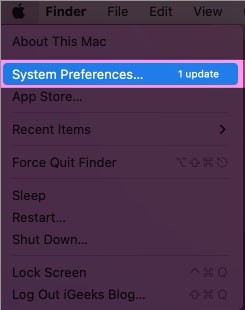 In macOS open System Preferences