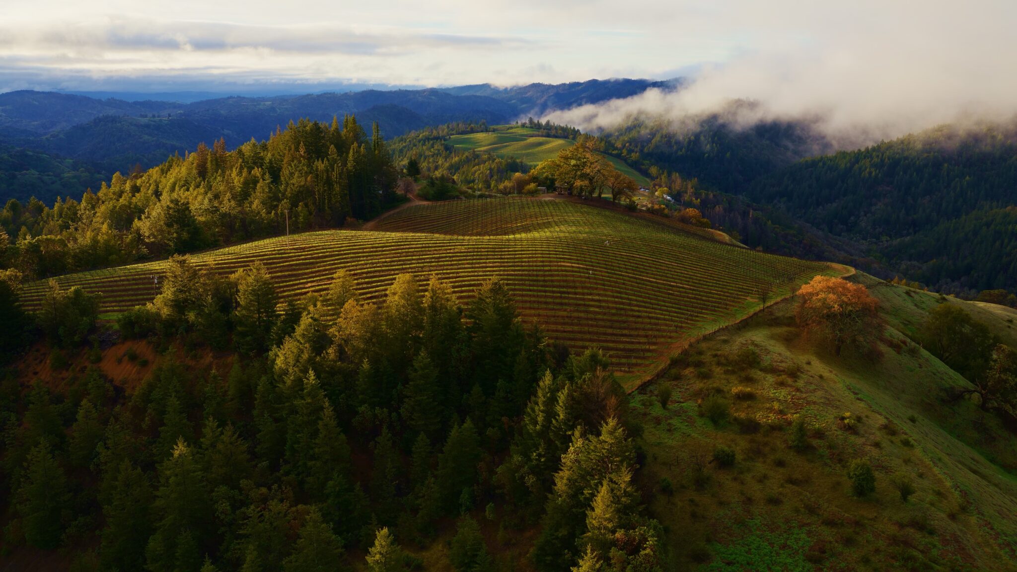 Macos sonoma horizon wallpaper scaled 1 macOS Sonoma Horizon wallpaper