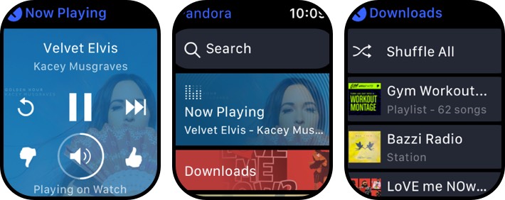 Pandora apple watch music app screenshot pandora apple watch music app screenshot
