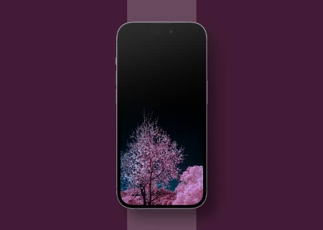 Pink and black iphone wallpaper 1 Pink and black iPhone wallpaper