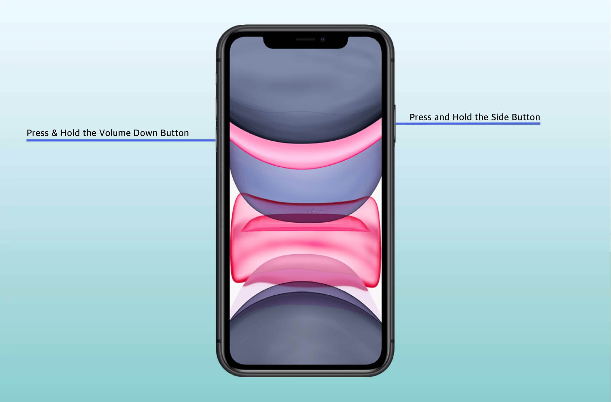 Press & Hold the Side Button Volume Down Button on iPhone 11