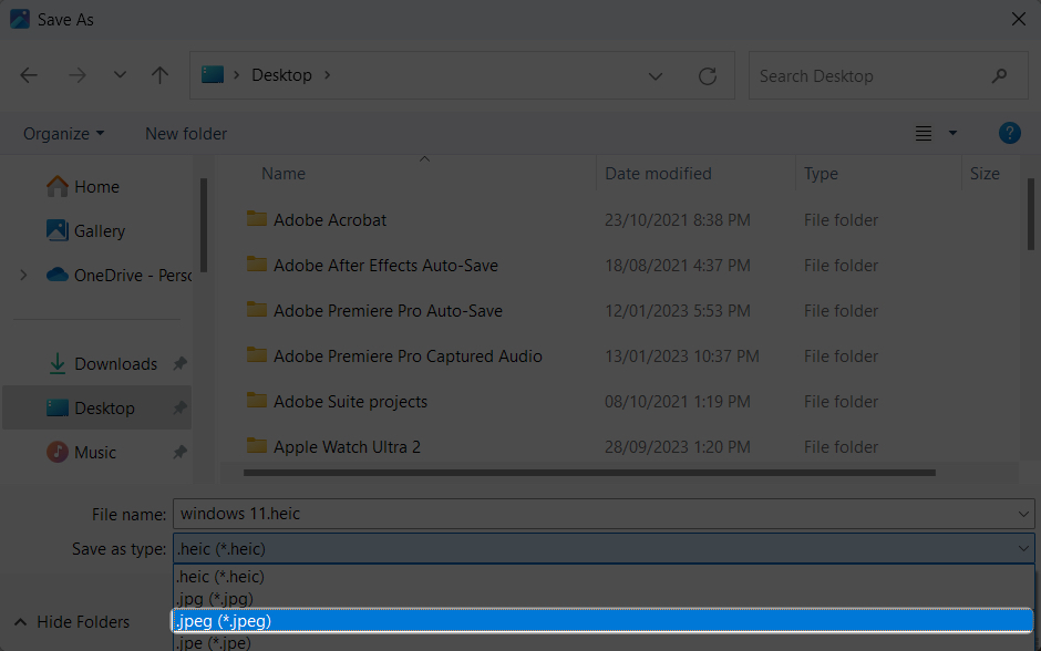 Select jpeg to save image in jpeg format on Windows