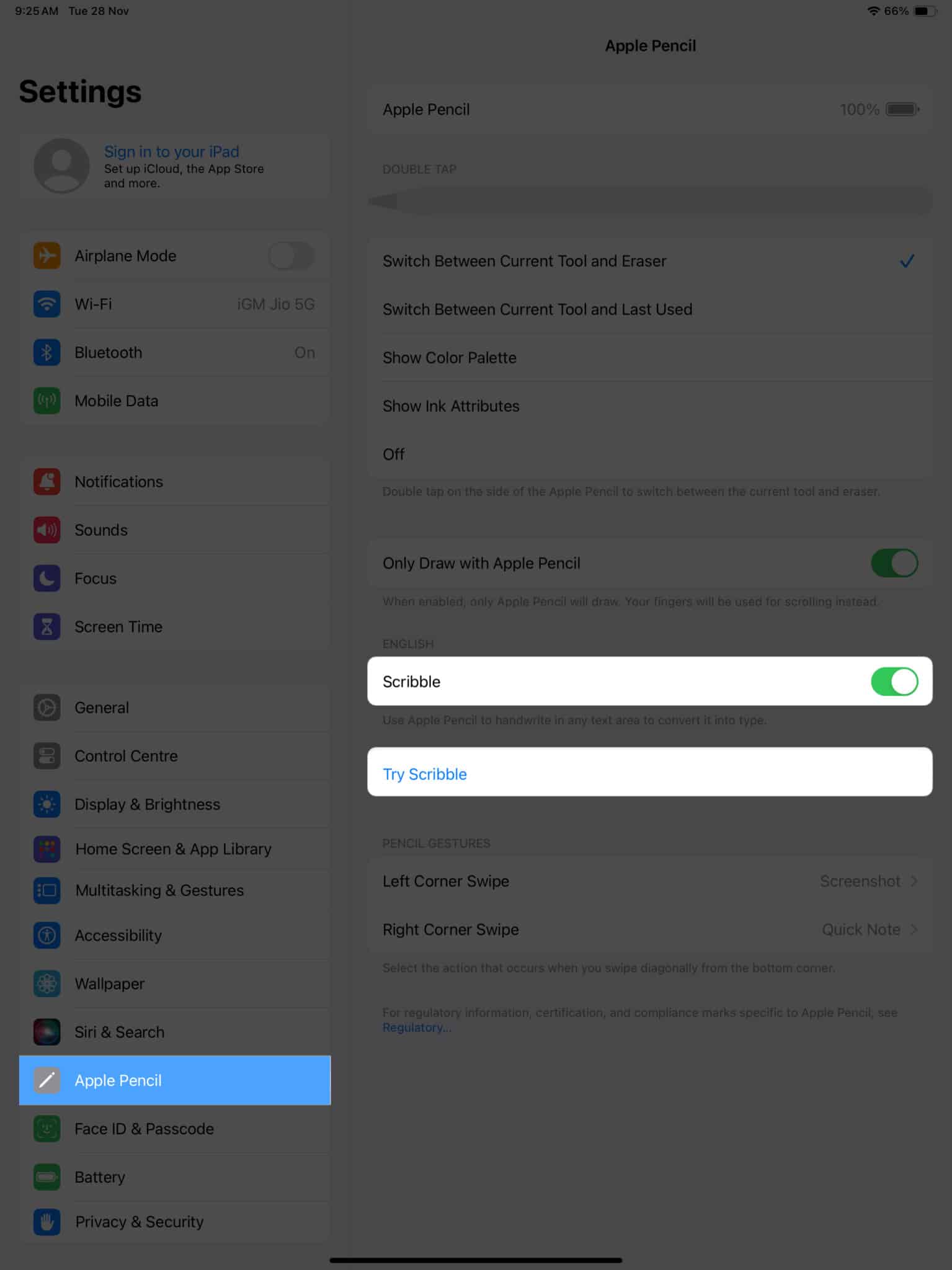Toggle on Scribble, Tap Try Scribble